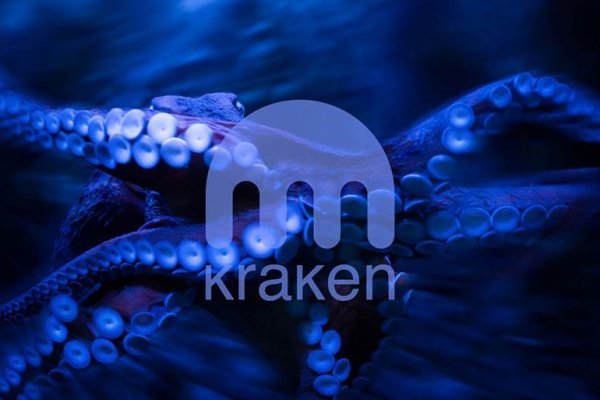 Kraken наркшоп