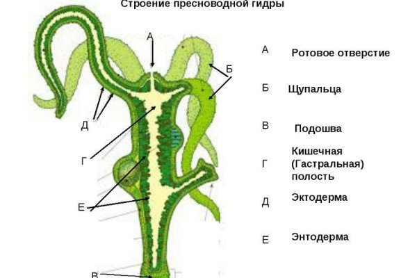 Kraken актуальное